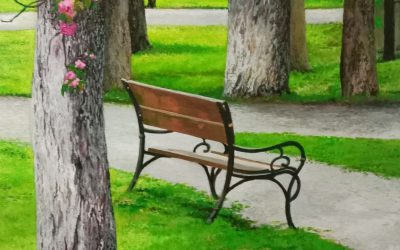 El parque