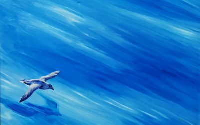 Libre